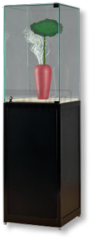 Glasvitrine 1800S mit Drehtuer