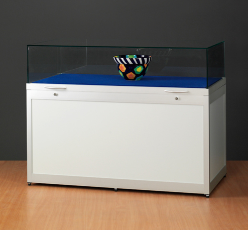 92100934-Museumsvitrine